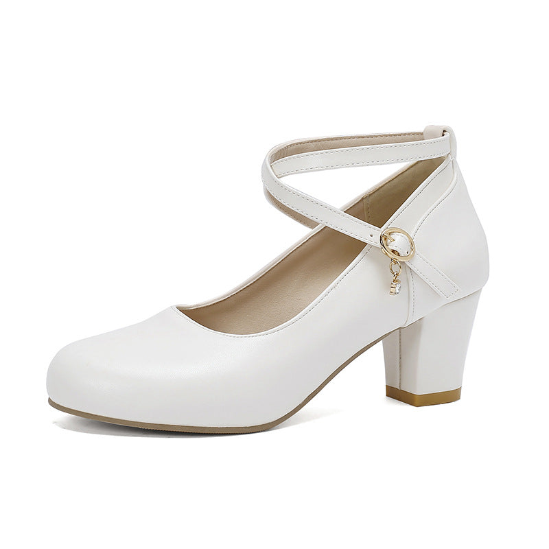 Chunky Heel High Heel Shoes Mary Jane Shoes Work Shoes