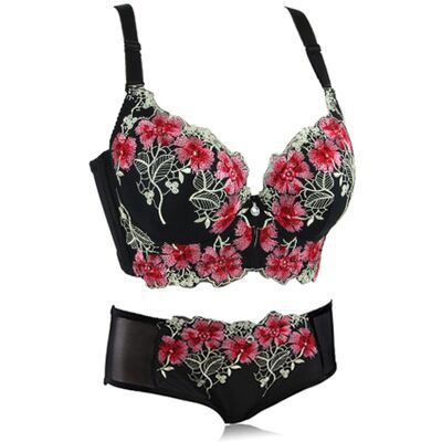 European And American Thin Embroidery Bra Set Girls Push Up Adjustable Underwear With Steel Ring