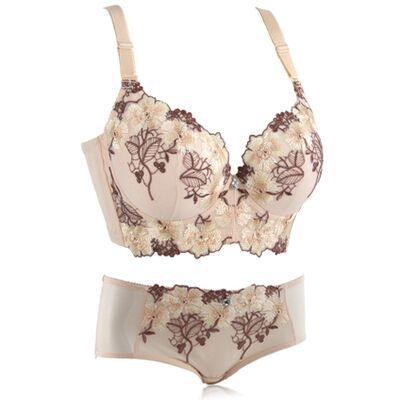 European And American Thin Embroidery Bra Set Girls Push Up Adjustable Underwear With Steel Ring