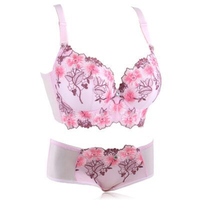 European And American Thin Embroidery Bra Set Girls Push Up Adjustable Underwear With Steel Ring