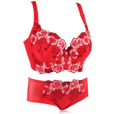 European And American Thin Embroidery Bra Set Girls Push Up Adjustable Underwear With Steel Ring