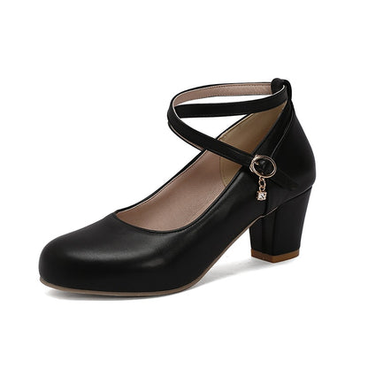 Chunky Heel High Heel Shoes Mary Jane Shoes Work Shoes