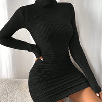 Euro-American Style High-neck Dress