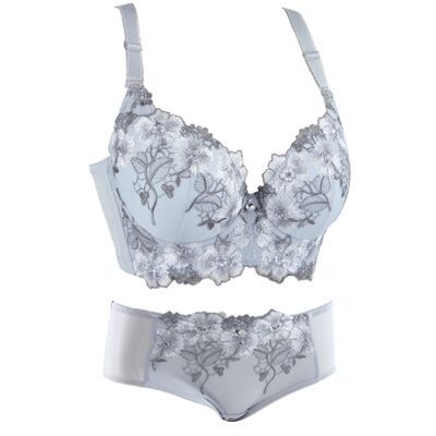 European And American Thin Embroidery Bra Set Girls Push Up Adjustable Underwear With Steel Ring