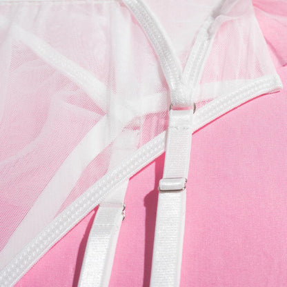 Underwear Suit Four-piece Set Bra Garter