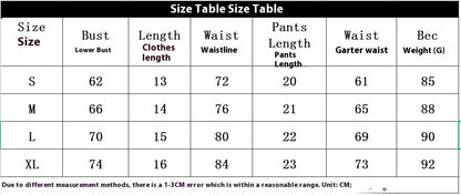 Garter Embroidered Chest Support Body Shaping Split Underwear Suit Ladies